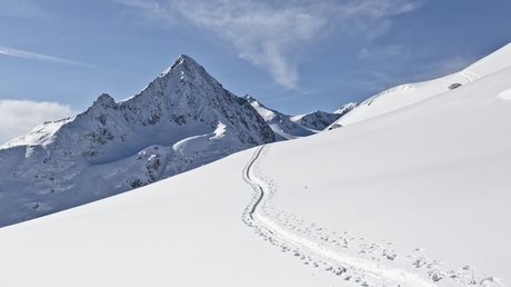 Des impressions de notre hôtel alpin à Vent ! Sommet de montagne enneigé avec traces dans la neige fraîche