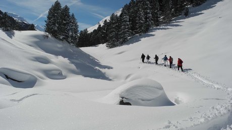 Des impressions de notre hôtel alpin à Vent ! Groupe marchant sur un sentier enneigé entre arbres et montagnes