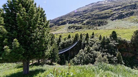 Des impressions de notre hôtel alpin à Vent ! Pont suspendu au-dessus d'une vallée boisée devant paysage montagneux verdoyant
