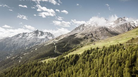 Des impressions de notre hôtel alpin à Vent ! Paysage de montagne avec forêt de conifères et sommets enneigés sous ciel bleu
