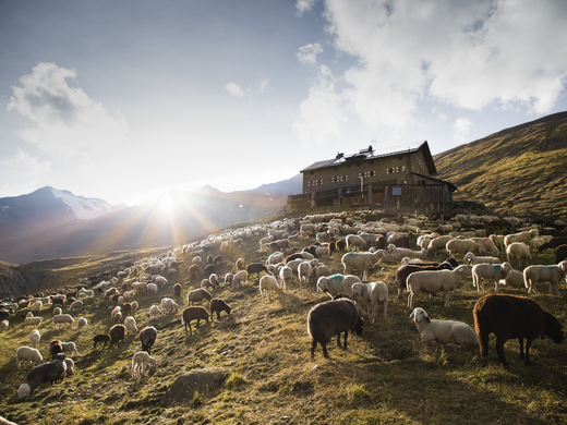 Vacances d’été dans l’Ötztal : un paradis pour les alpinistes Vacances d’été dans l’Ötztal : un paradis pour les alpinistes
