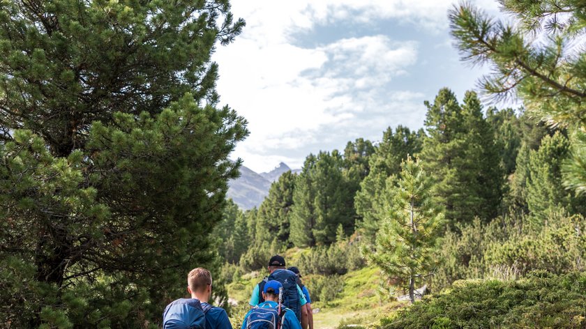 An inspiring themed trail Three hikers on a forest trail with backpacks in sunny weather